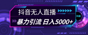 抖音快手视频号全平台通用无人直播引流法,利用图片模板和语音话术,暴力日引流100+创业粉【揭秘】-聚富社