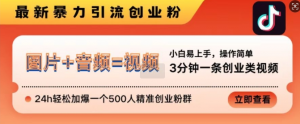 抖音最新暴力引流创业粉,3分钟一条创业类视频,24h轻松加爆一个500人精准创业粉群【揭秘】-聚富社