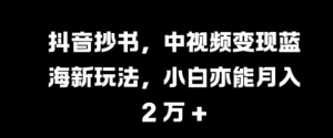 抖音抄书,中视频变现蓝海新玩法,小白亦能月入 过W【揭秘】-聚富社