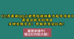 12月最新QQ小世界短视频暴力起号项目,最适合新手的项目,多种变现方式-聚富社
