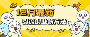 12月最新引流创业粉方法,方法非常简单,适用于多平台-聚富社