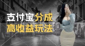 支付宝分成计划新玩法,利用交通事故视频,赚收益,轻松月入过W,操作简单【揭秘】-聚富社