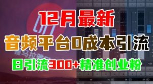 12月最新:音频平台0成本引流,日引流300+精准创业粉-聚富社
