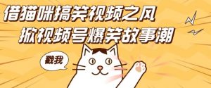 借猫咪搞笑视频之风,掀视频号爆笑故事潮,轻松日入四位数,无门槛快速入门!-聚富社