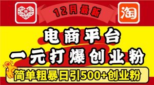 12月最新:电商平台1元打爆创业粉,简单粗暴日引500+精准创业粉,轻松月入过W【揭秘】-聚富社