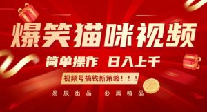 爆笑猫咪视频:简单操作,日入过K,视频号搞钱新策略【揭秘】-聚富社