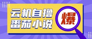 首发云手机自撸小说玩法,10块钱成本可撸200+收益操作简单【揭秘】-聚富社