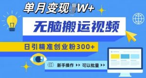 无脑搬运视频号可批量复制,新手即可操作,日引精准创业粉300+,月变现过W 【揭秘】-聚富社
