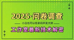 2025问卷调查最新工作室技术解密:一个人在家也可以闷声发大财,小白一天2张,可矩阵放大【揭秘】-聚富社