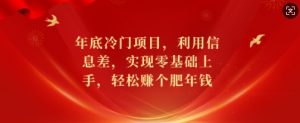 年底冷门项目,利用信息差,实现零基础上手,轻松赚个肥年钱【揭秘】-聚富社
