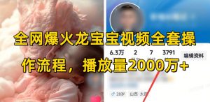 全网爆火龙宝宝视频全套操作流程,播放量2000万+-聚富社