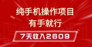 纯手机操作的小项目,有手就能做,7天收入2609+实操教程【揭秘】-聚富社