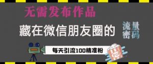 藏在微信朋友圈的流量密码,无需发布作品,单日引流100+精准创业粉【揭秘】-聚富社