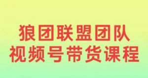 狼团联盟2024视频号带货,0基础小白快速入局视频号-聚富社