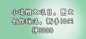 小说推文项目,图文创作玩法,新手10天挣3000-聚富社