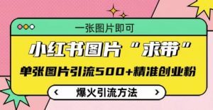 小红书图片‘求带’爆火引流法,单张图片引流500+精准创业粉【揭秘】-聚富社