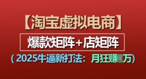 淘宝虚拟电商,2025牛逼新打法:爆款矩阵+店矩阵,月入过万-聚富社