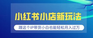 小红书小店新玩法,蹭这个IP带货,小白也能轻松月入过W【揭秘】-聚富社