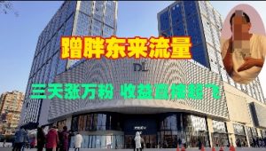 蹭胖东来流量,三天涨万粉,收益直接起飞-聚富社