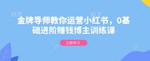 金牌导师教你运营小红书,0基础进阶赚钱博主训练课-聚富社