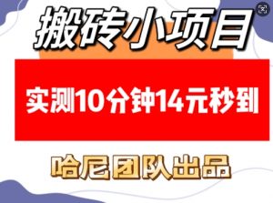 搬砖小项目,实测10分钟14元秒到,每天稳定几张(赠送必看稳定)-聚富社