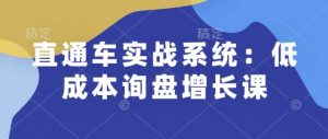 直通车实战系统:低成本询盘增长课,让个人通过技能实现升职加薪,让企业低成本获客,订单源源不断-聚富社