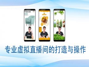 个人虚拟直播间的搭建与操作,专业虚拟直播间的打造与操作-聚富社