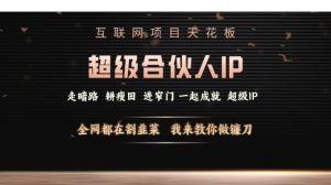 互联网项目天花板,超级合伙人IP,全网都在割韭菜,我来教你做镰刀【仅揭秘】-聚富社