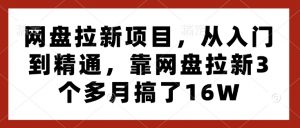 网盘拉新项目,从入门到精通,靠网盘拉新3个多月搞了16W-聚富社