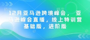 12月亚马逊跨境峰会, 亚马逊峰会直播,线上特训营基础版,进阶版-聚富社