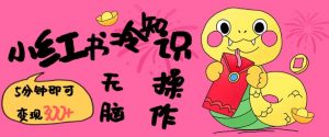 小红书冷知识账号,无脑复制粘贴,5分钟即可变现3张-聚富社