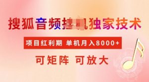 全网首发搜狐音频挂JI独家技术,项目红利期,可矩阵可放大,稳定月入8k【揭秘】-聚富社