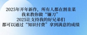 2025年开年新作,所有人都在割韭菜,我来教你做“镰刀” 2025让支持我的好兄弟们都可以通过“知识付费”拿到满意的成绩【揭秘】-聚富社