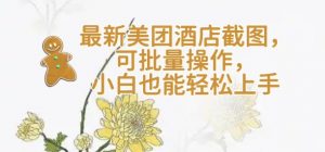【轻云】最新美团酒店截图,可批量操作,小白也能轻松上手-聚富社