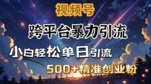 跨平台暴力引流,私域完美闭环,日引500+精准创业粉-聚富社