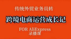 跨境电商速卖通运营课,运营方法论+后台实操,逻辑清晰-聚富社