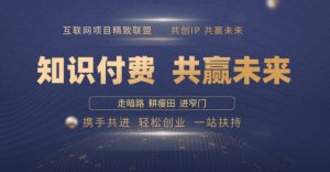 别人苦寻无果,为何他们靠知识付费卖项目 2025 年轻松年入100个?【揭秘】-聚富社