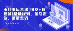 小红书运营课(图文+短视频)基础规则、策划定位、流量密码-聚富社