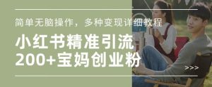 小红书混剪日引200+宝妈创业粉,简单无脑操作,多种变现详细教程-聚富社