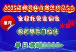 2025视频号纯自然流玩法5.0,全程托管高佣金,极简爆款门槛低,单日收益多张【揭秘】-聚富社