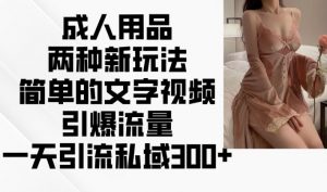 成人用品两种新玩法,简单的文字视频引爆流量,一天引流私域300+-聚富社