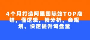 4个月打造阿里国际站TOP店铺,懂逻辑,精分析,会规划,快速提升询盘量-聚富社