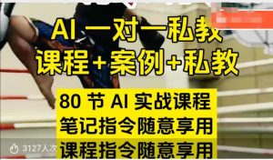 AI指令实战课,课程+案例,80节AI实战课程,笔记指令随意享用,课程指令随意享用-聚富社