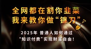 全网都在割你韭菜,我来教你做镰刀,2025年普通人如何通过 知识付费 实现财F自由【揭秘】-聚富社