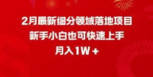 2月最新细分领域落地项目,新手小白也可快速上手,月入1W-聚富社