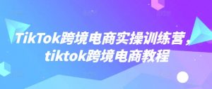 TikTok跨境电商实操训练营,tiktok跨境电商教程-聚富社