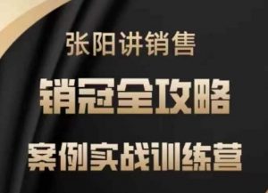 张阳讲销售实战训练营,案例实战训练,销冠全攻略-聚富社