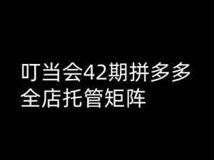 叮当会拼多多打爆班原创高阶技术第42期,拼多多全店托管矩阵-聚富社