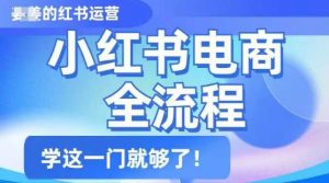 小红书电商全流程,精简易懂,从入门到精通,学这一门就够了-聚富社