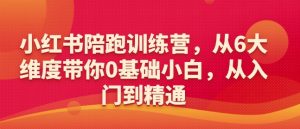 小红书陪跑训练营,从6大维度带你0基础小白,从入门到精通-聚富社